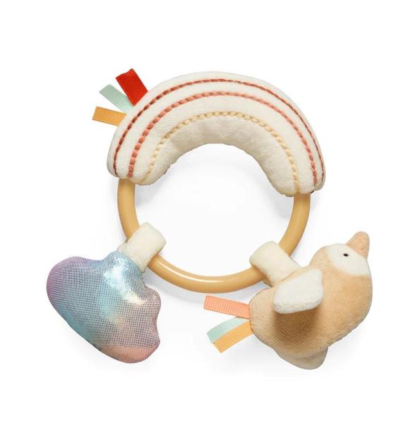 Sebra Activity Ring  Rainbow