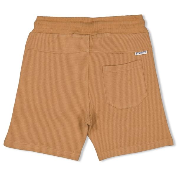 Sturdy Shorts The Getaway